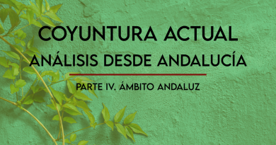 Coyuntura actual. Análisis desde Andalucía. IV. El ámbito andaluz