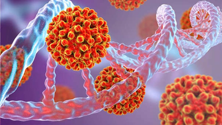 Vacunas contra el cáncer: La ciencia y la cultura al servicio de los pueblos